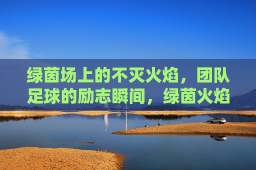 绿茵场上的不灭火焰,团队足球的励志瞬间,绿茵火焰,团队足球的励志燃情