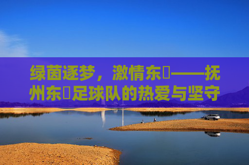 绿茵逐梦,激情东昇——抚州东昇足球队的热爱与坚守,抚州东昇,绿茵逐梦的热爱与坚守