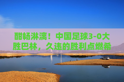 酣畅淋漓!中国足球3-0大胜巴林,久违的胜利点燃希望之火,酣畅淋漓!中国足球3-0大胜巴林 久违胜利点燃希望