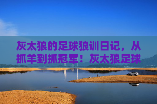 灰太狼的足球狼训日记，从抓羊到抓冠军！灰太狼足球狼训日记，从抓羊到夺冠！