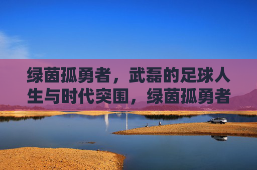 绿茵孤勇者,武磊的足球人生与时代突围,绿茵孤勇者,武磊的足球人生与时代突围