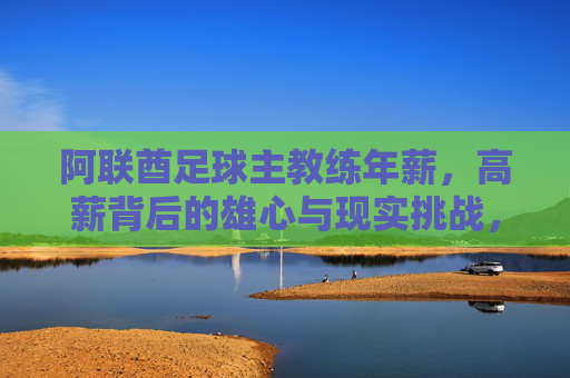 阿联酋足球主教练年薪,高薪背后的雄心与现实挑战,阿联酋足球主教练高薪背后的雄心与现实挑战