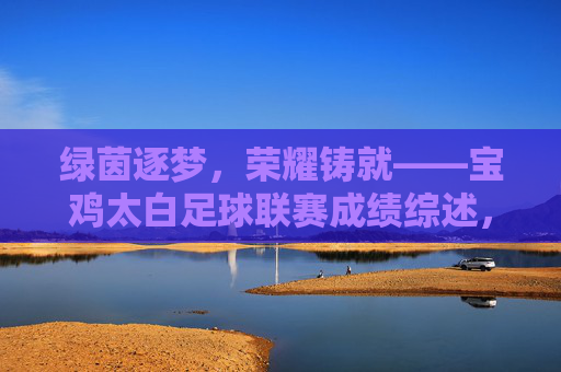 绿茵逐梦,荣耀铸就——宝鸡太白足球联赛成绩综述,绿茵逐梦,荣耀铸就——宝鸡太白足球联赛成绩综述