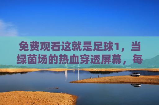 免费观看这就是足球1，当绿茵场的热血穿透屏幕，每个瞬间都是热爱的答案，绿茵热血穿透屏幕，瞬间皆是热爱答案