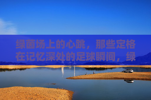 绿茵场上的心跳,那些定格在记忆深处的足球瞬间,绿茵心跳,记忆深处的足球瞬间