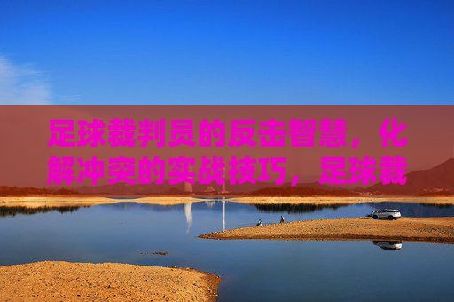 足球裁判员的反击智慧,化解冲突的实战技巧,足球裁判的反击智慧,冲突化解实战技巧