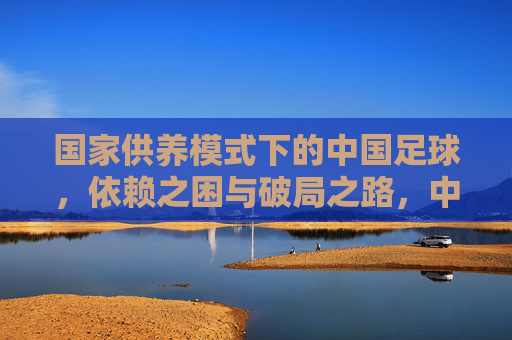 国家供养模式下的中国足球,依赖之困与破局之路,中国足球,国家供养模式的依赖之困与破局之路