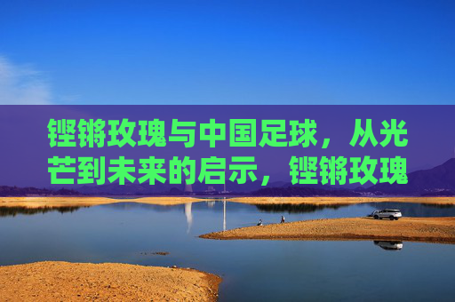 铿锵玫瑰与中国足球,从光芒到未来的启示,铿锵玫瑰与中国足球,从光芒到未来启示