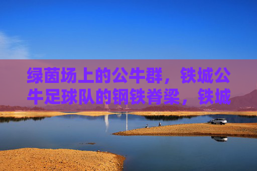 绿茵场上的公牛群，铁城公牛足球队的钢铁脊梁，铁城公牛，绿茵场的钢铁脊梁