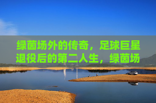 绿茵场外的传奇，足球巨星退役后的第二人生，绿茵场外传奇，足球巨星退役后的第二人生