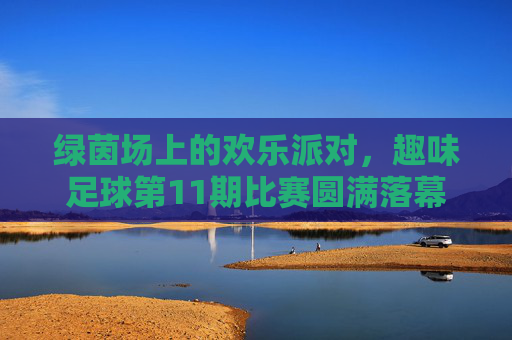 绿茵场上的欢乐派对，趣味足球第11期比赛圆满落幕，绿茵场上的欢乐派对，趣味足球第11期比赛圆满落幕