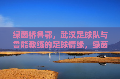绿茵桥鲁鄂,武汉足球队与鲁能教练的足球情缘,绿茵桥鲁鄂,武汉足球队与鲁能教练的足球情缘