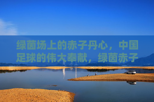 绿茵场上的赤子丹心,中国足球的伟大奉献,绿茵赤子丹心,中国足球奉献