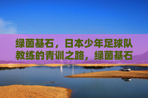 绿茵基石,日本少年足球队教练的青训之路,绿茵基石,日本少年足球教练的青训之路