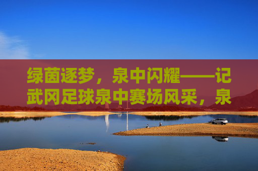绿茵逐梦，泉中闪耀——记武冈足球泉中赛场风采，泉中逐梦绿茵，武冈足球闪耀