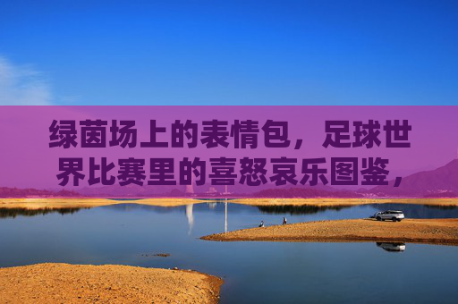 绿茵场上的表情包，足球世界比赛里的喜怒哀乐图鉴，足球表情包，绿茵场上的喜怒哀乐图鉴