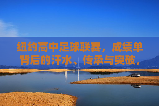 纽约高中足球联赛，成绩单背后的汗水、传承与突破，纽约高中足球联赛，汗水、传承与突破的成绩单
