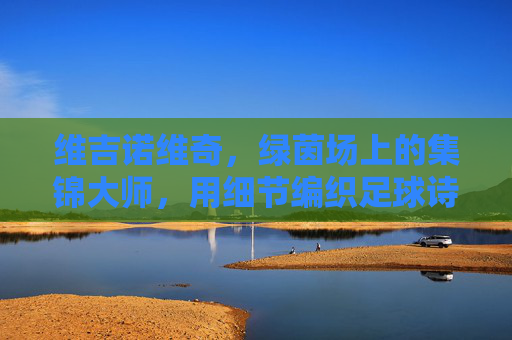维吉诺维奇，绿茵场上的集锦大师，用细节编织足球诗篇，细节编织诗篇，维吉诺维奇的绿茵集锦
