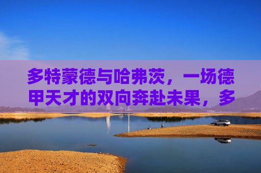 多特蒙德与哈弗茨，一场德甲天才的双向奔赴未果，多特蒙德与哈弗茨，德甲天才的双向奔赴未果
