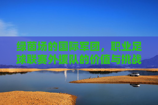 绿茵场的国际军团,职业足球联赛外援队的价值与挑战,绿茵场国际军团,职业足球外援的价值与挑战