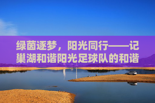 绿茵逐梦,阳光同行——记巢湖和谐阳光足球队的和谐与热爱,巢湖和谐阳光足球队,绿茵逐梦,热爱同行