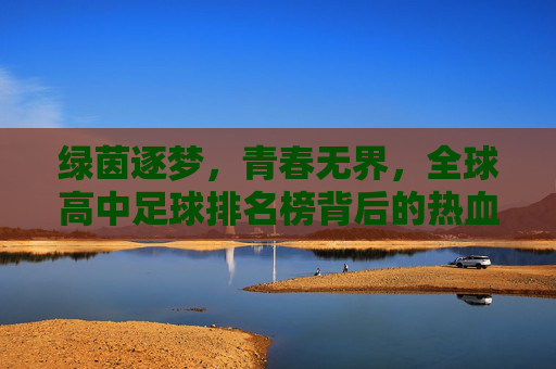 绿茵逐梦,青春无界,全球高中足球排名榜背后的热血与荣耀,绿茵逐梦,青春无界,全球高中足球排名榜的热血与荣耀