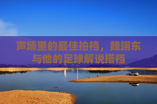 声场里的最佳拍档,魏翊东与他的足球解说搭档