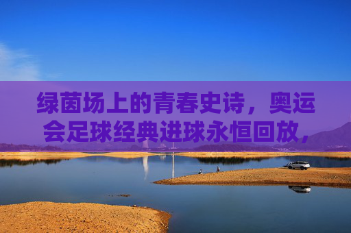 绿茵场上的青春史诗，奥运会足球经典进球永恒回放，绿茵史诗，奥运会足球经典进球永恒回放