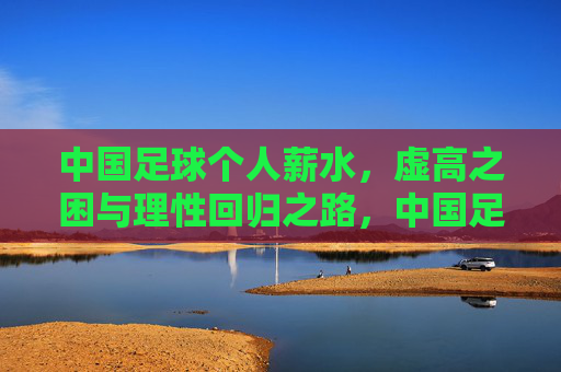 中国足球个人薪水，虚高之困与理性回归之路，中国足球个人薪水，虚高之困与理性回归之路