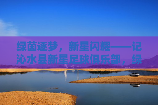 绿茵逐梦，新星闪耀——记沁水县新星足球俱乐部，绿茵逐梦新星闪耀——沁水县新星足球俱乐部