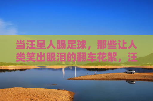 当汪星人踢足球，那些让人类笑出眼泪的翻车花絮，汪星人踢足球的爆笑翻车花絮