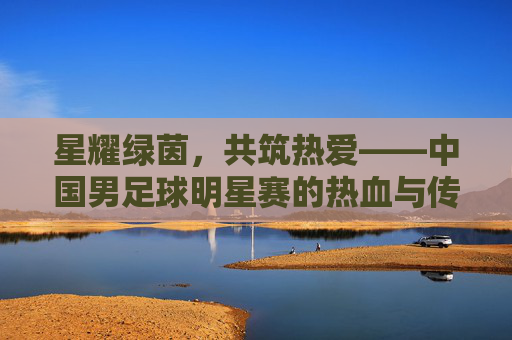 星耀绿茵，共筑热爱——中国男足球明星赛的热血与传承，星耀绿茵，中国男足球明星赛的热血传承