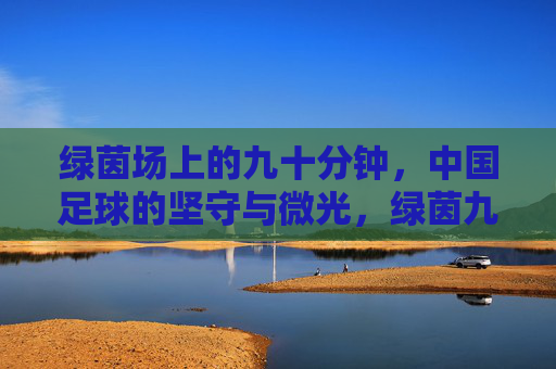 绿茵场上的九十分钟，中国足球的坚守与微光，绿茵九十分钟，中国足球的坚守与微光