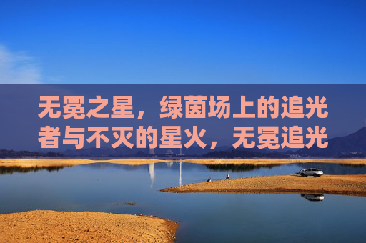 无冕之星,绿茵场上的追光者与不灭的星火,无冕追光,绿茵星火