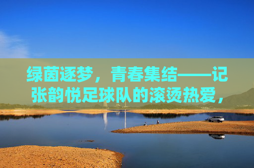绿茵逐梦，青春集结——记张韵悦足球队的滚烫热爱，绿茵逐梦，滚烫热爱——张韵悦足球队的青春集结