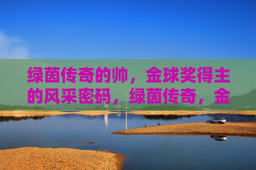 绿茵传奇的帅,金球奖得主的风采密码,绿茵传奇,金球奖得主的风采密码