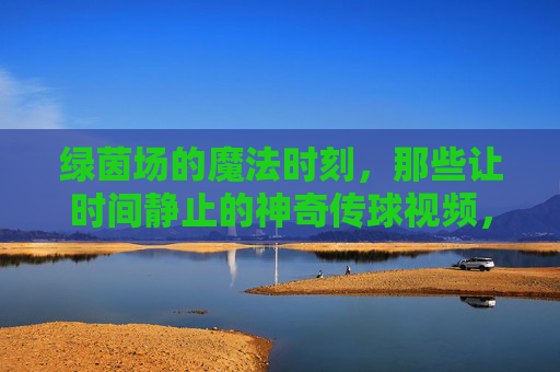 绿茵场的魔法时刻,那些让时间静止的神奇传球视频,绿茵场魔法传球,时间静止的瞬间