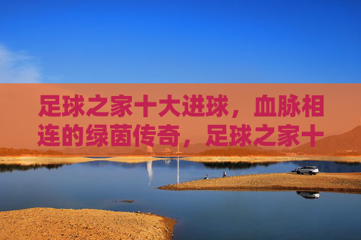 足球之家十大进球,血脉相连的绿茵传奇,足球之家十大进球,血脉相连的绿茵传奇