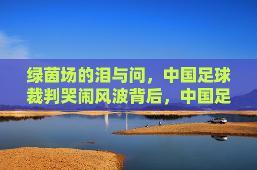 绿茵场的泪与问,中国足球裁判哭闹风波背后,中国足球裁判哭闹风波背后,绿茵场的泪与问