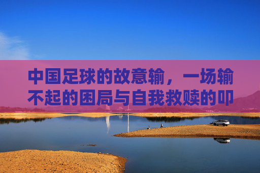 中国足球的故意输,一场输不起的困局与自我救赎的叩问,中国足球故意输,输不起的困局与救赎叩问