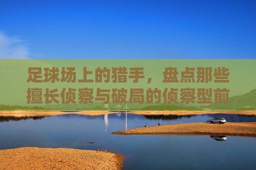 足球场上的猎手，盘点那些擅长侦察与破局的侦察型前锋，足球场上的侦察猎手，破局型前锋