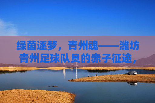 绿茵逐梦,青州魂——潍坊青州足球队员的赤子征途,绿茵逐梦青州魂,赤子征途