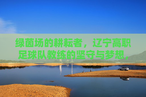 绿茵场的耕耘者,辽宁高职足球队教练的坚守与梦想,绿茵场的耕耘者,辽宁高职足球队教练的坚守与梦想