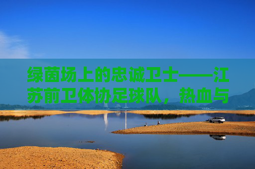 绿茵场上的忠诚卫士——江苏前卫体协足球队,热血与使命的交织,绿茵场上的忠诚卫士,江苏前卫体协足球队的热血与使命