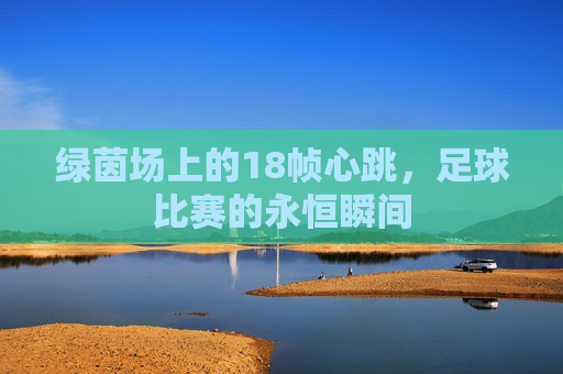 绿茵场上的18帧心跳,足球比赛的永恒瞬间