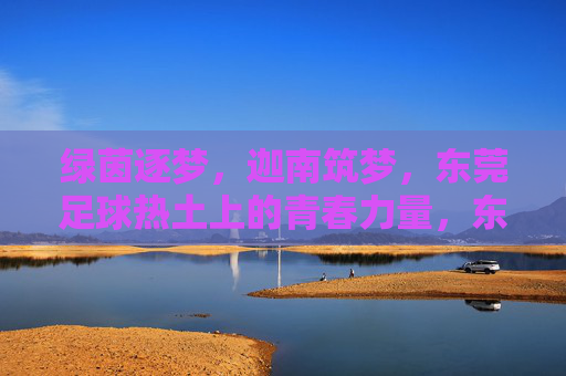 绿茵逐梦,迦南筑梦,东莞足球热土上的青春力量,东莞足球热土,青春逐梦