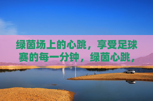 绿茵场上的心跳，享受足球赛的每一分钟，绿茵心跳，享受足球赛的每一分钟