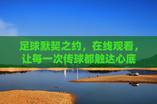 足球默契之约,在线观看,让每一次传球都触达心底