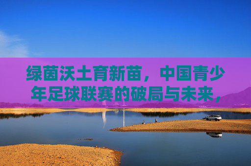 绿茵沃土育新苗,中国青少年足球联赛的破局与未来,绿茵沃土育新苗,中国青少年足球联赛的破局与未来