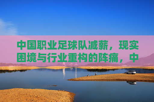 中国职业足球队减薪,现实困境与行业重构的阵痛,中国职业足球队减薪,现实困境与行业重构的阵痛